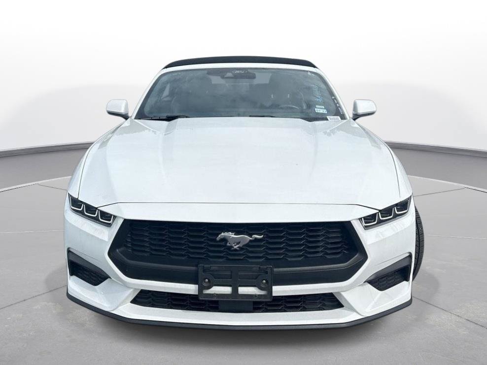 Used 2025 Ford Mustang Premium RWD image 3