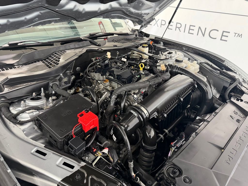 Used 2024 Ford Mustang Premium RWD image 6