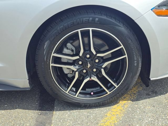 Used 2019 Ford Mustang Premium RWD image 9