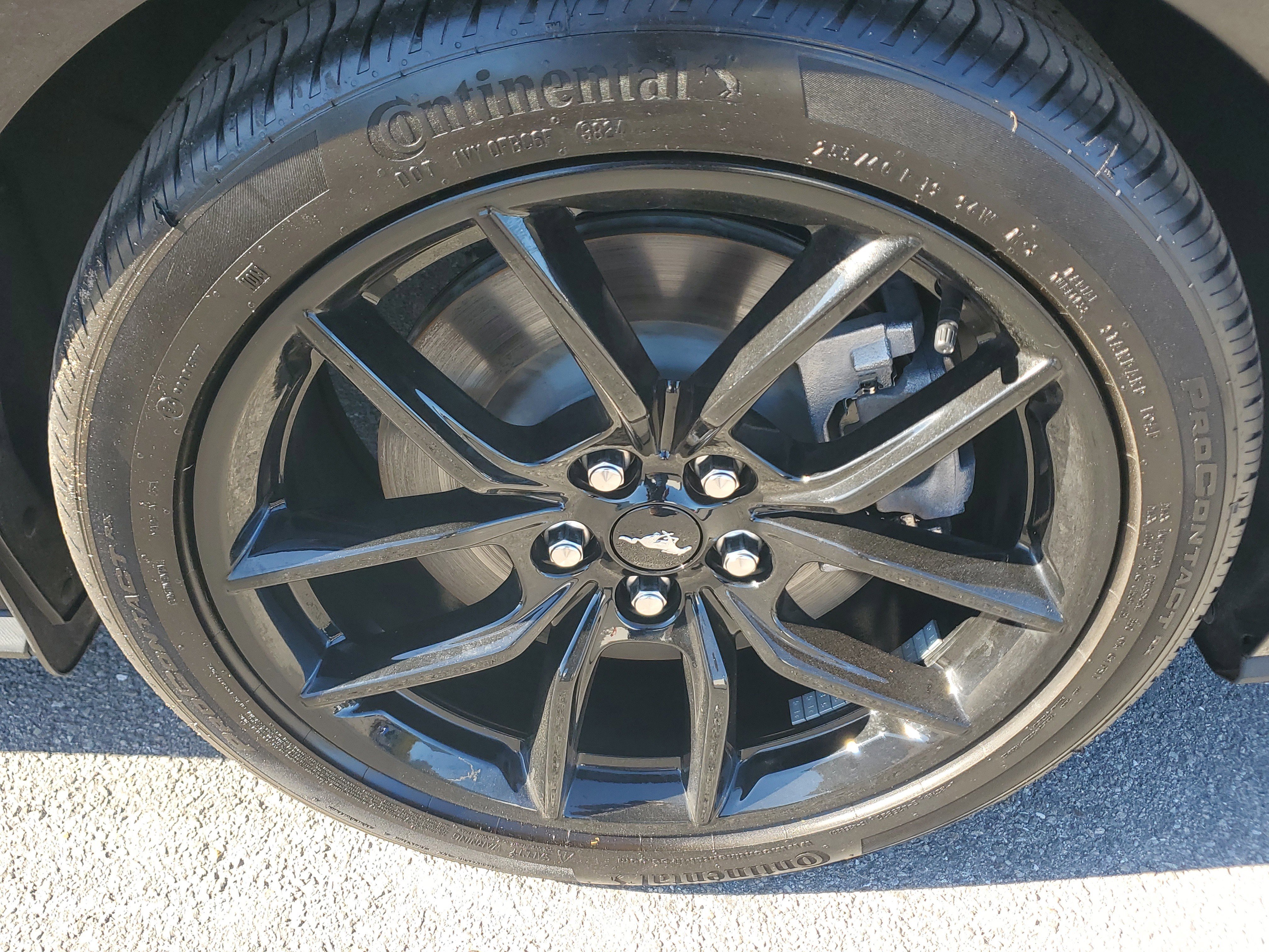 Used 2025 Ford Mustang GT Premium w/ Mustang Nite Pony Package image 9