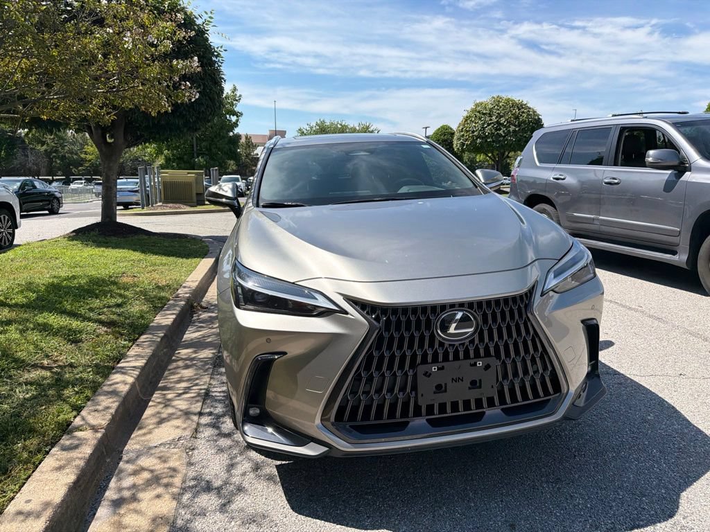 Certified 2026 Lexus NX 350h AWD w/ Cold Area Package image 4