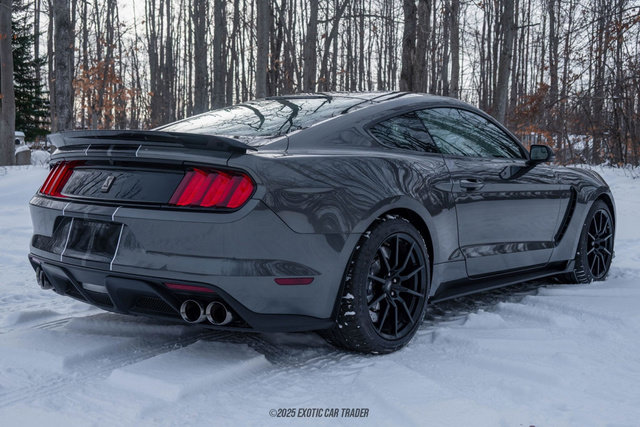 Used 2015 Ford Mustang Shelby GT350 image 8