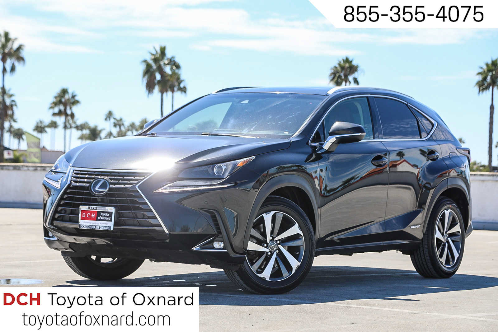 Used 2019 Lexus NX 300h AWD w/ Premium Package