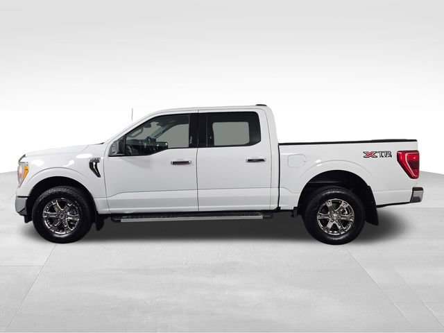 Certified 2023 Ford F150 XLT w/ Equipment Group 301A Mid image 4