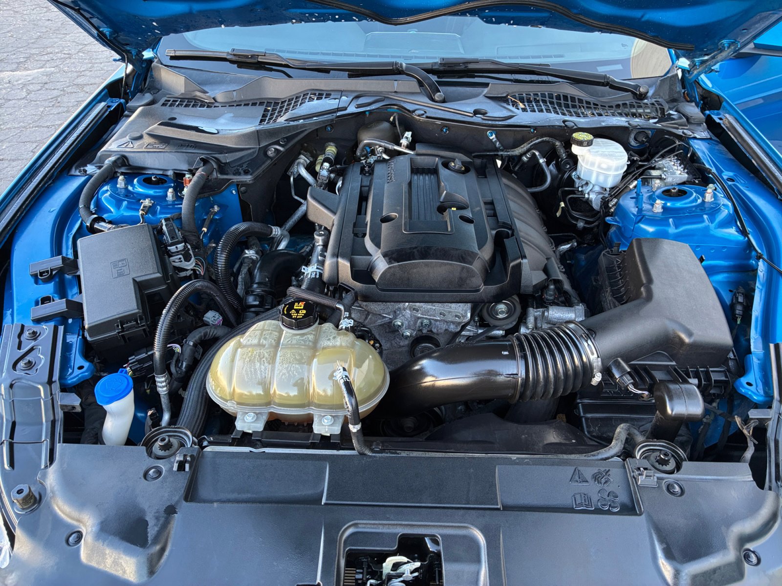 Used 2020 Ford Mustang EcoBoost w/ Equipment Group 101A image 30