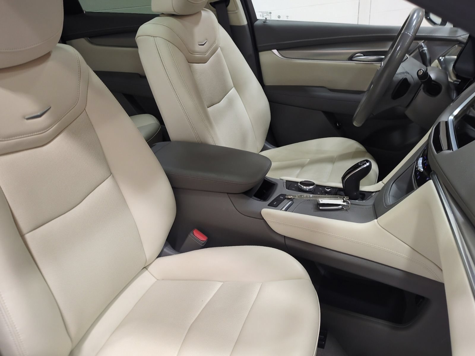 Used 2023 Cadillac XT5 Premium Luxury AWD/4WD image 10