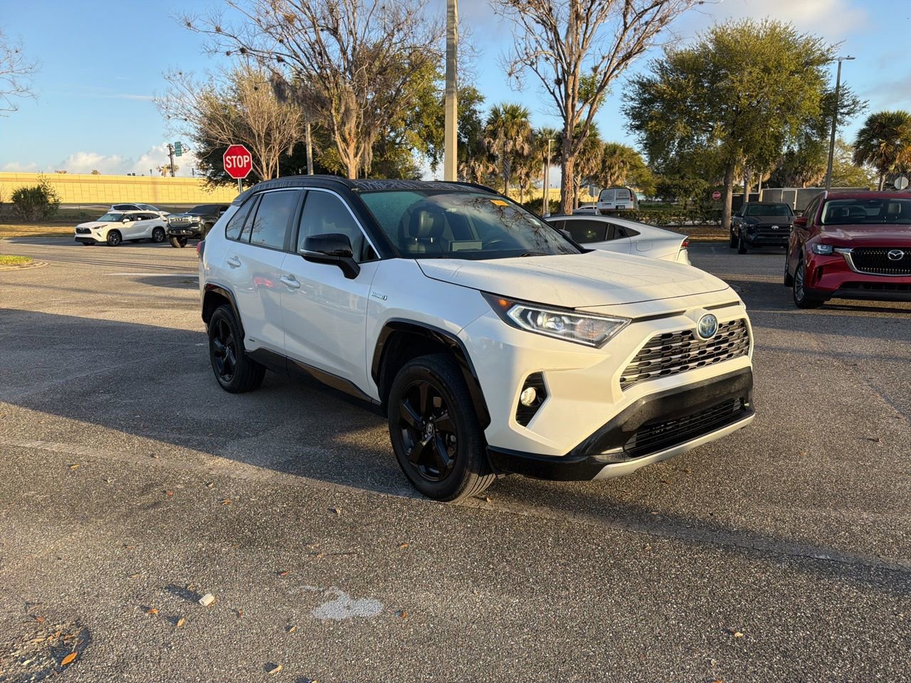 Used 2019 Toyota RAV4 XSE w/ XSE Weather Package image 7