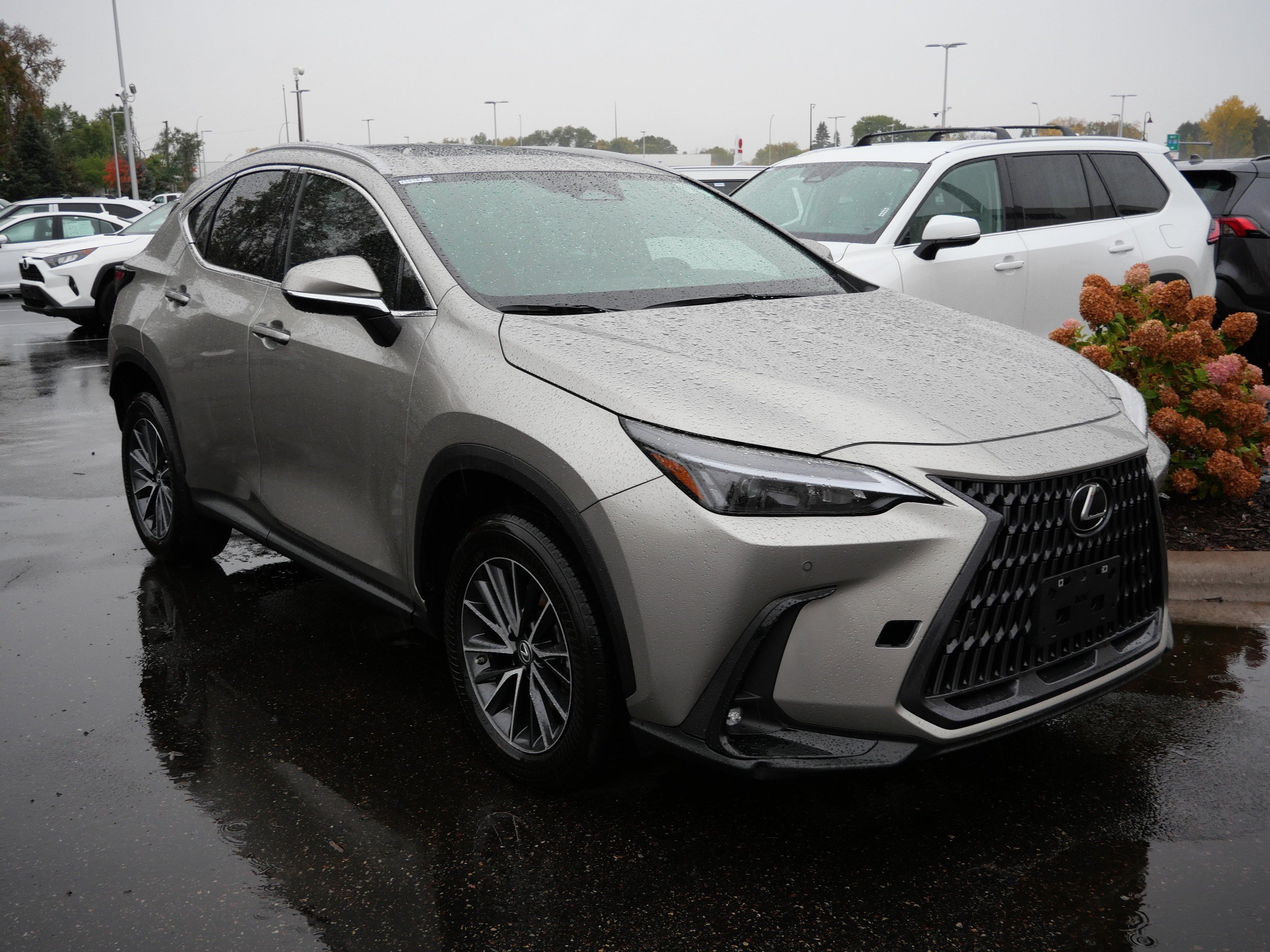 Used 2023 Lexus NX 350 AWD w/ Cold Area Package image 4