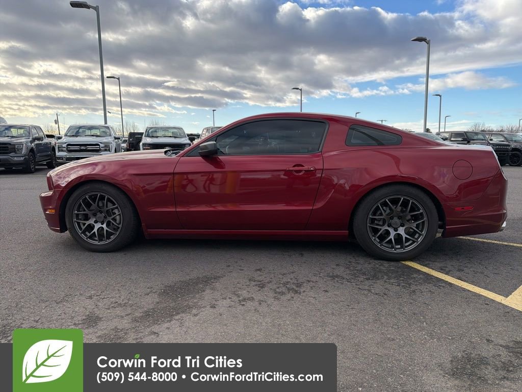 Used 2014 Ford Mustang Coupe w/ Equipment Group 102A image 17