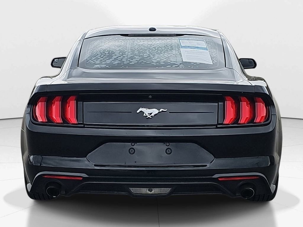 Used 2019 Ford Mustang EcoBoost image 6