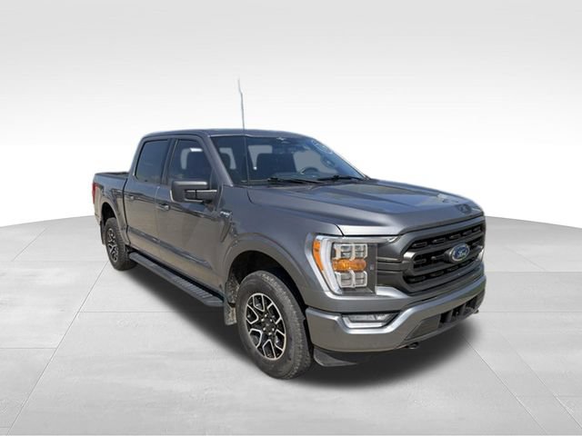 Used 2023 Ford F150 XLT w/ Equipment Group 302A High AWD/4WD image 8