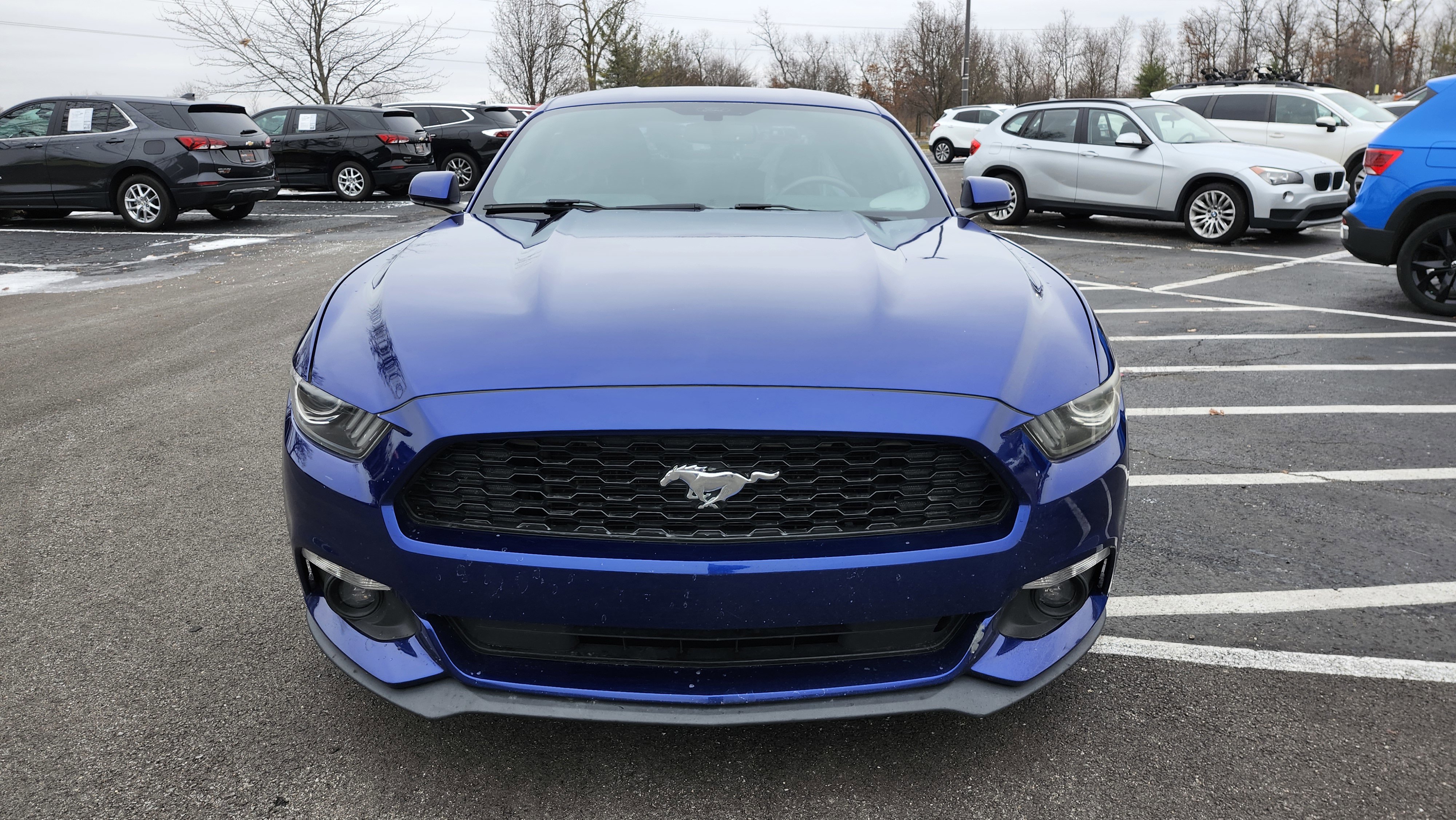 Used 2015 Ford Mustang Coupe w/ Equipment Group 051A image 10