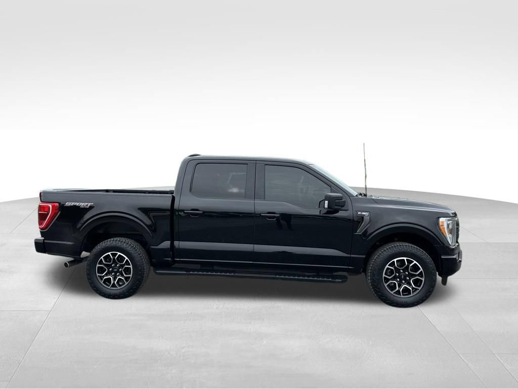 Used 2023 Ford F150 XLT w/ Equipment Group 302A High AWD/4WD image 23