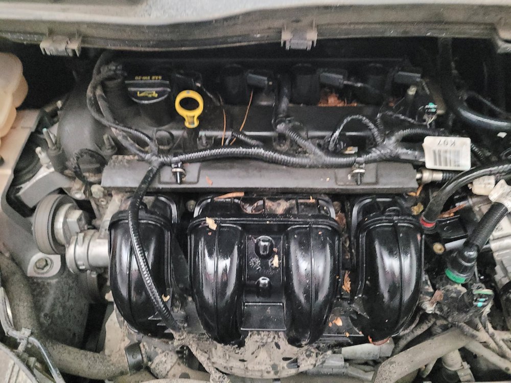 Used 2015 Ford Escape SE FWD image 30