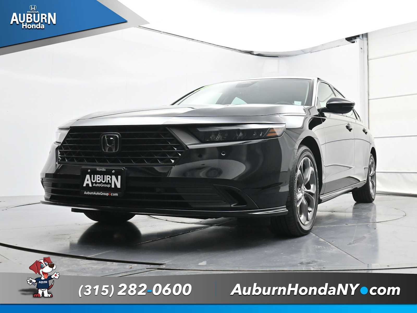 Used 2023 Honda Accord EX-L image 16