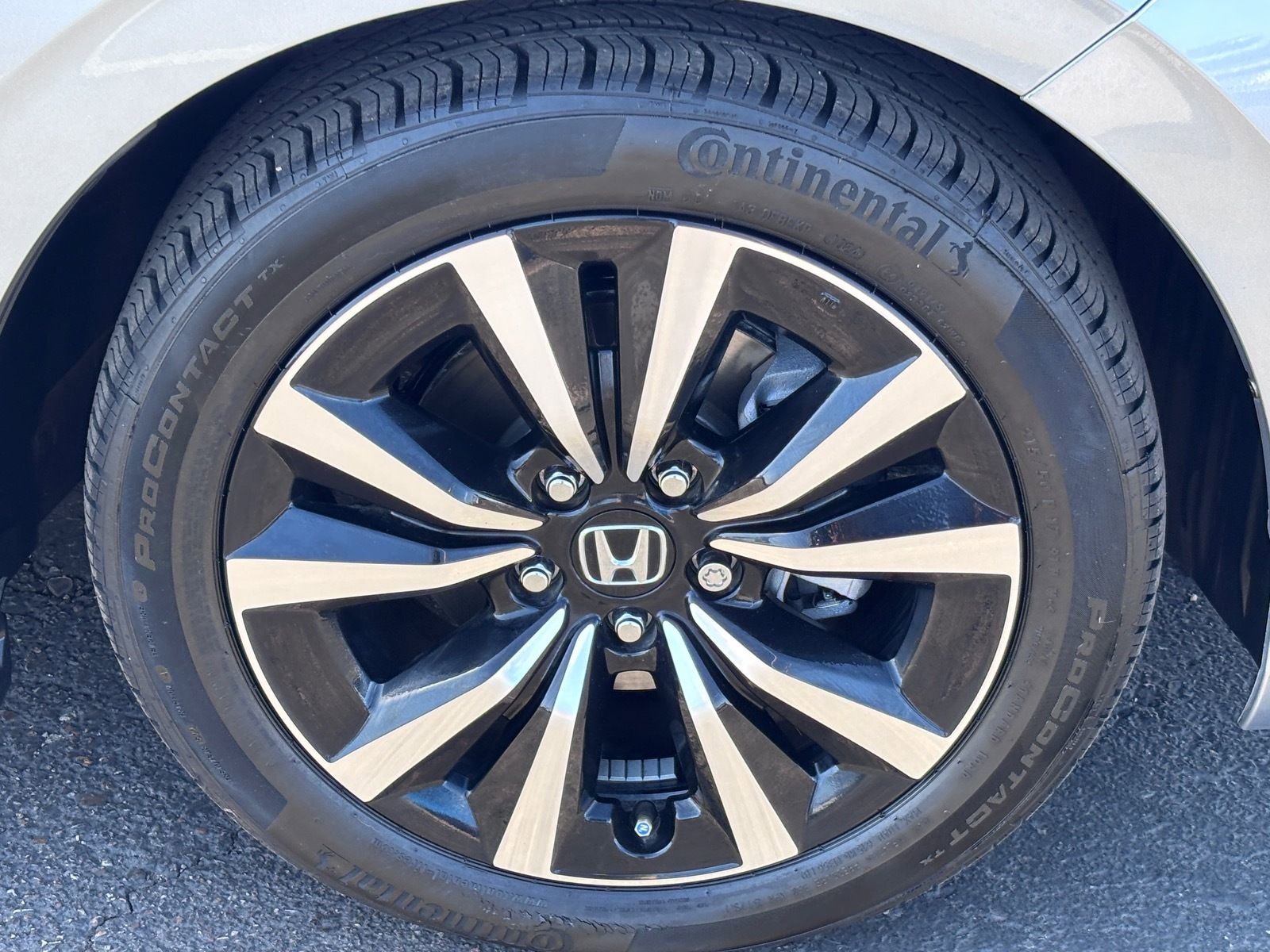 Certified 2024 Honda Civic EX-L image 11