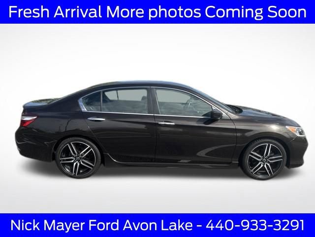 Used 2016 Honda Accord Sport image 3