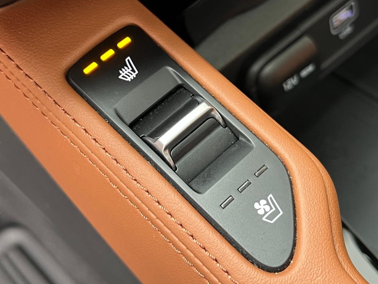 Used 2024 Kia Telluride SX Prestige X-Line image 39