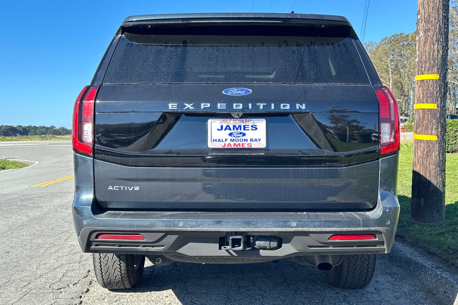 Used 2025 Ford Expedition Active image 4