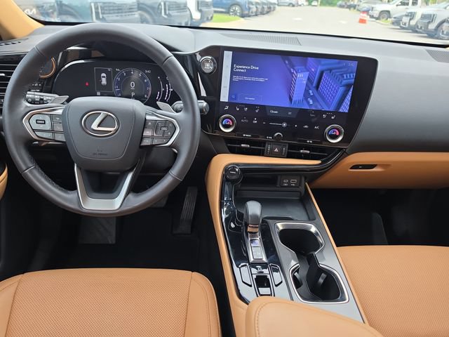 Used 2024 Lexus NX 250 FWD w/ Cold Area Package image 9