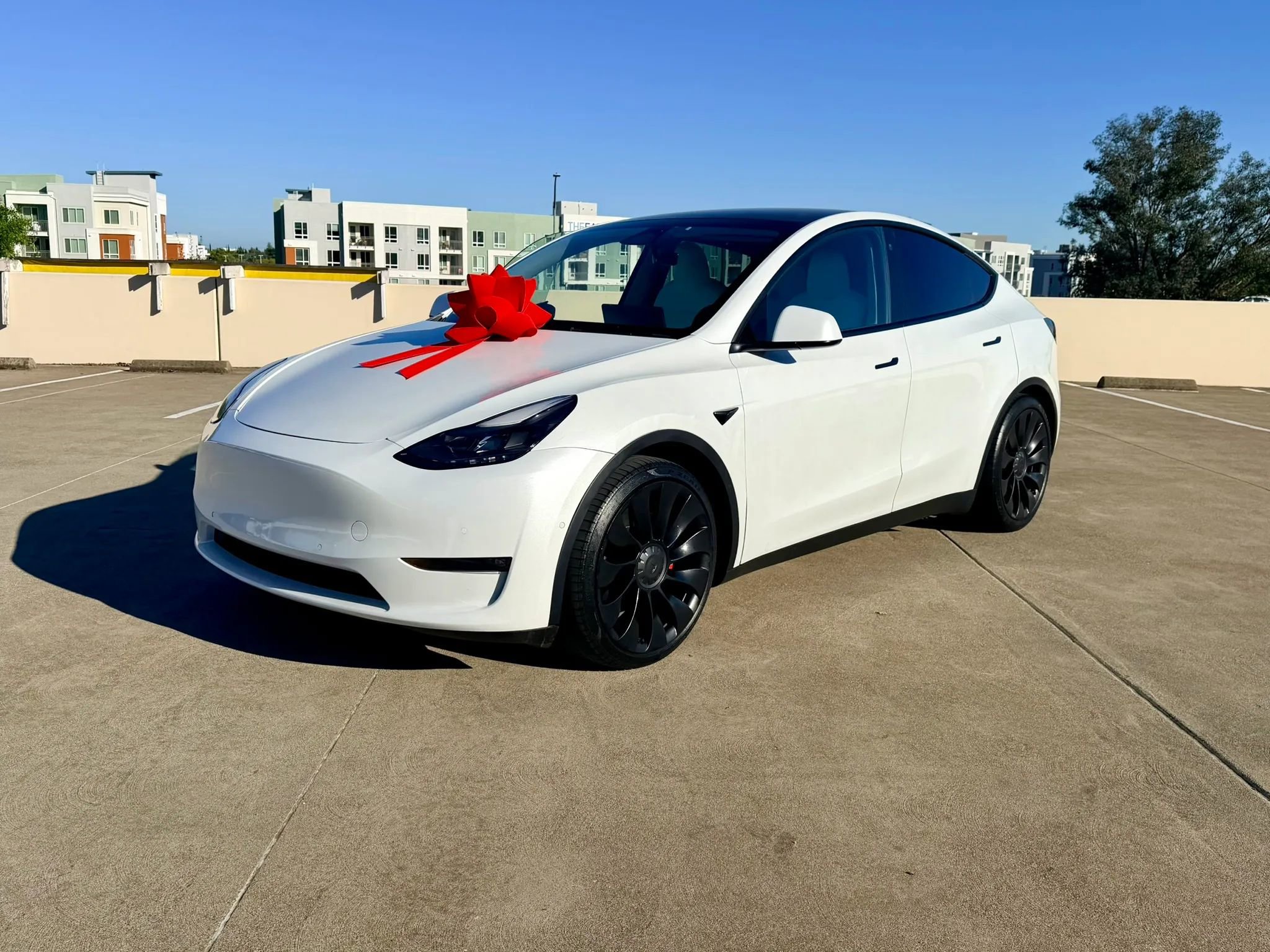 Used 2022 Tesla Model Y Performance image 2