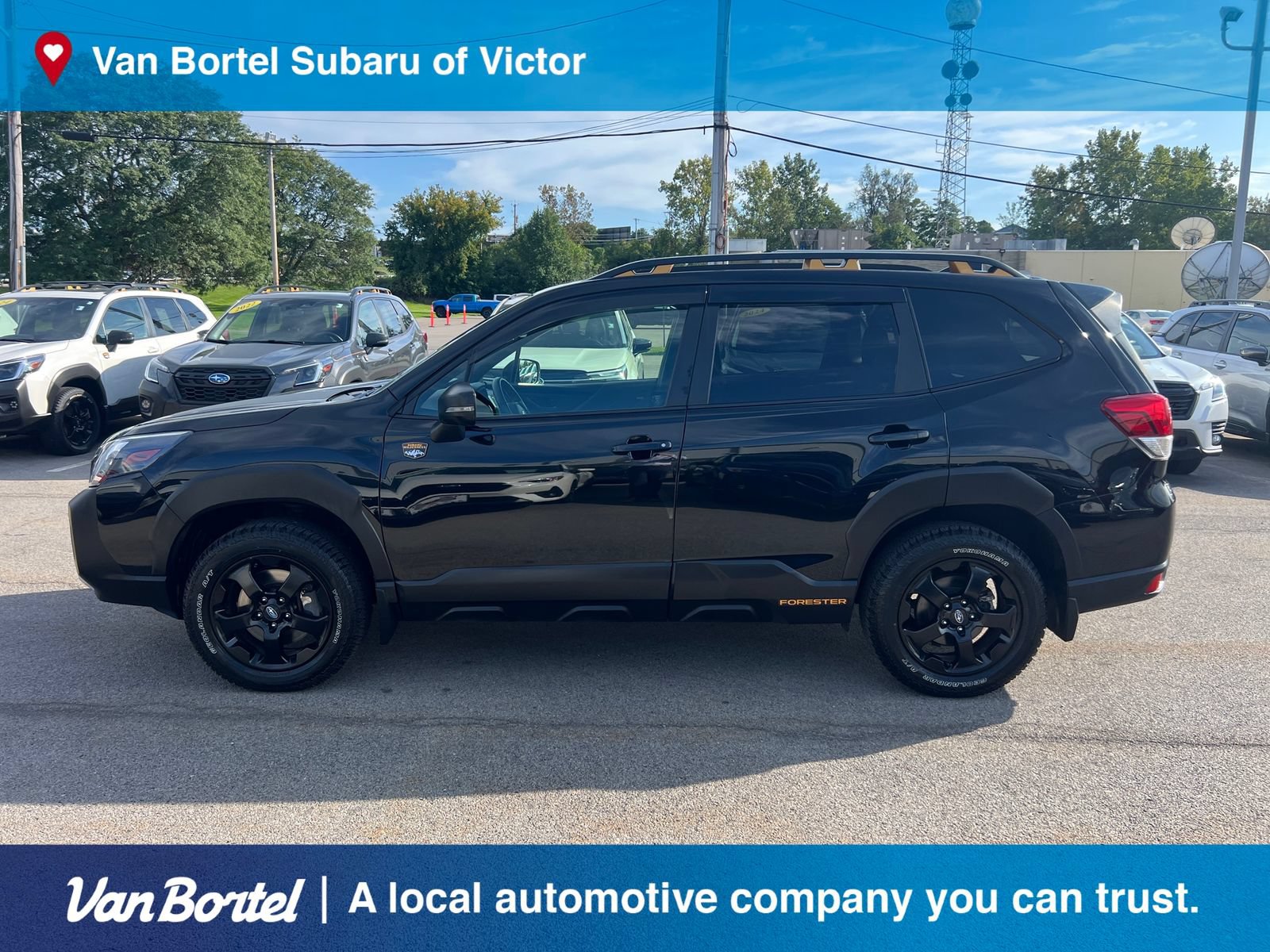 Certified 2024 Subaru Forester Wilderness AWD/4WD image 3