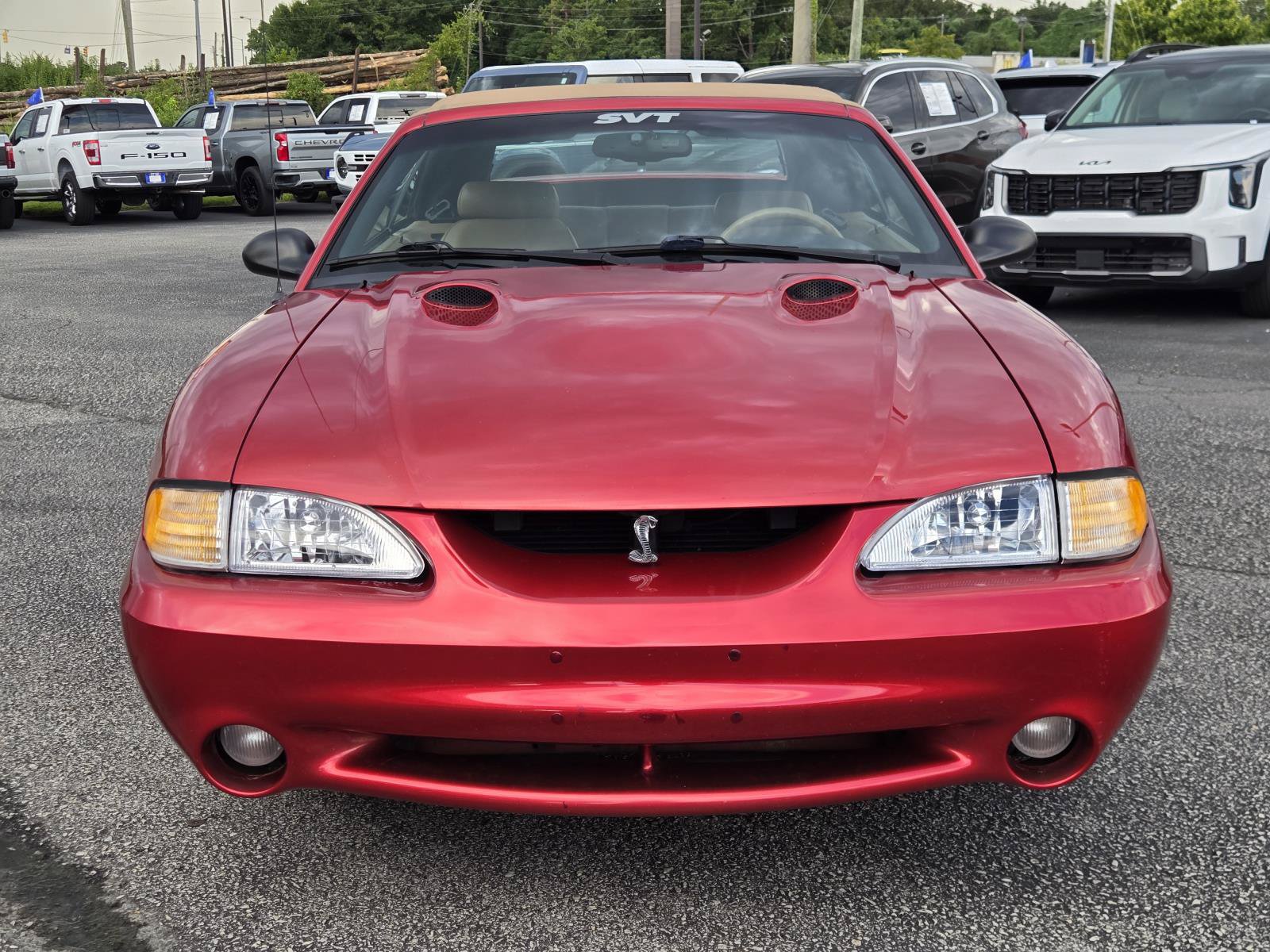Used 1998 Ford Mustang Cobra RWD image 3