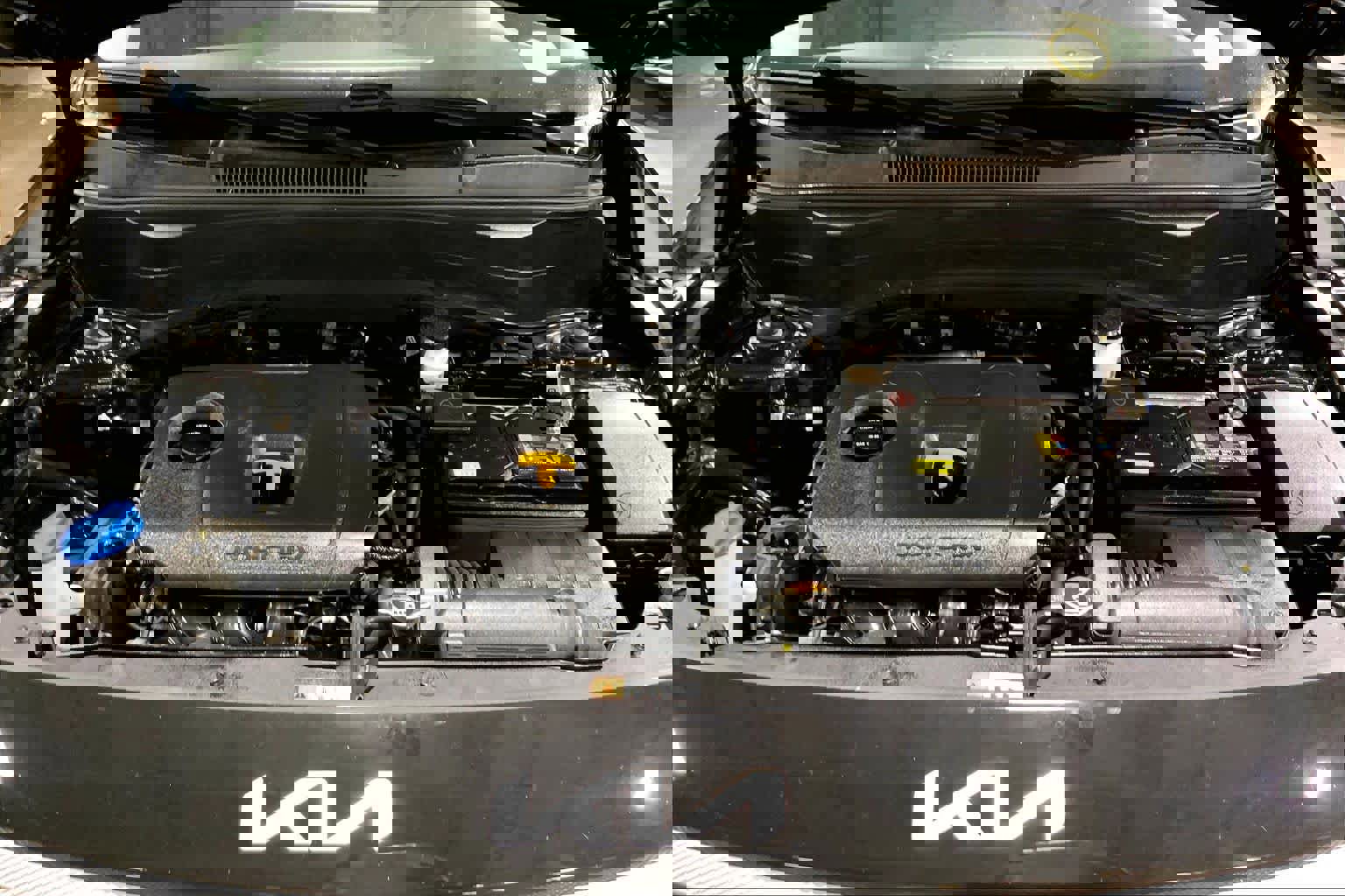 Used 2023 Kia Seltos LX image 32