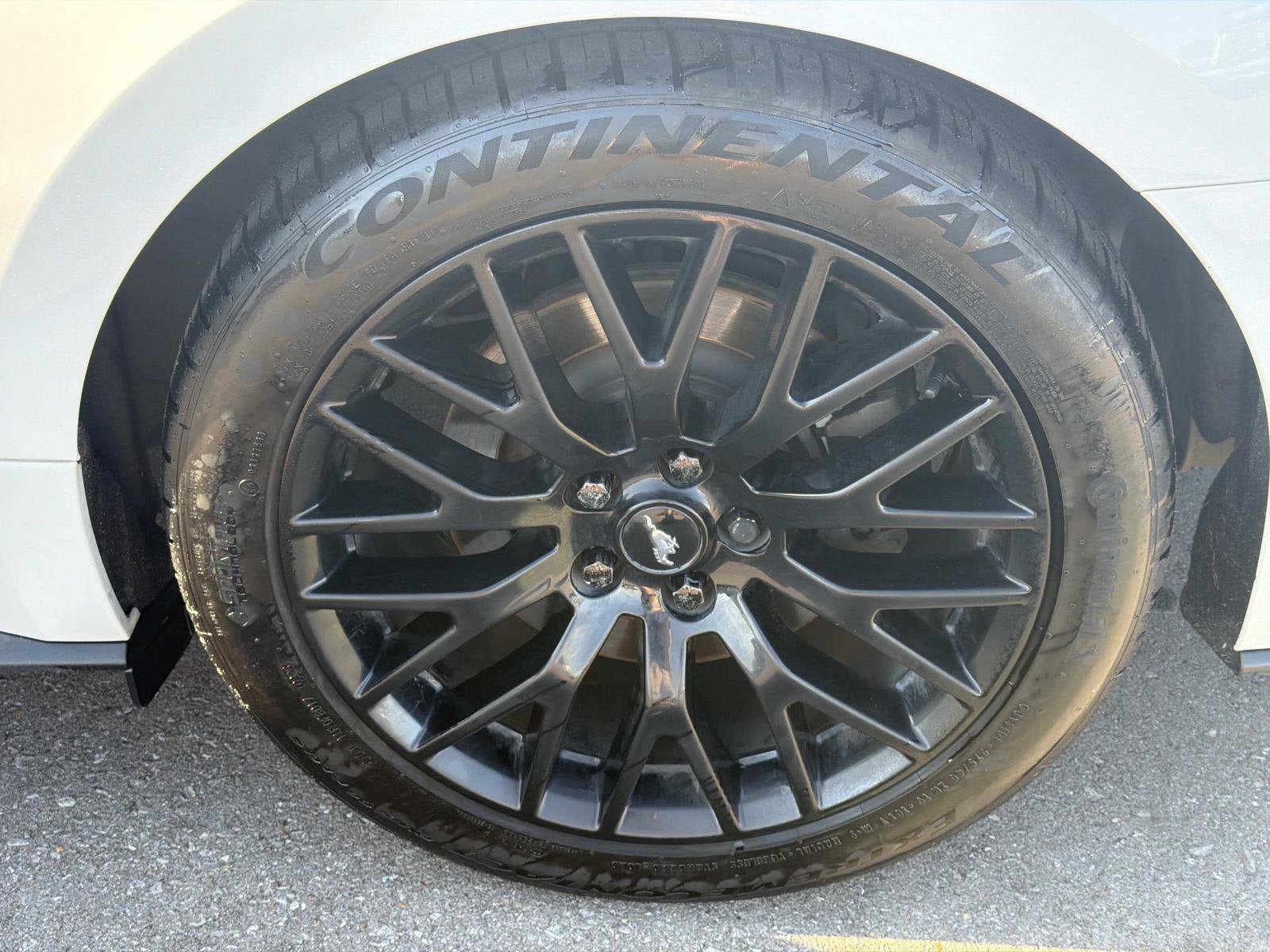 Used 2019 Ford Mustang GT RWD image 9