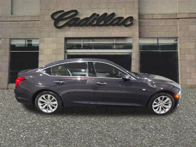 Used 2025 Cadillac CT5 Premium Luxury w/ Sun And Sound Package image 6