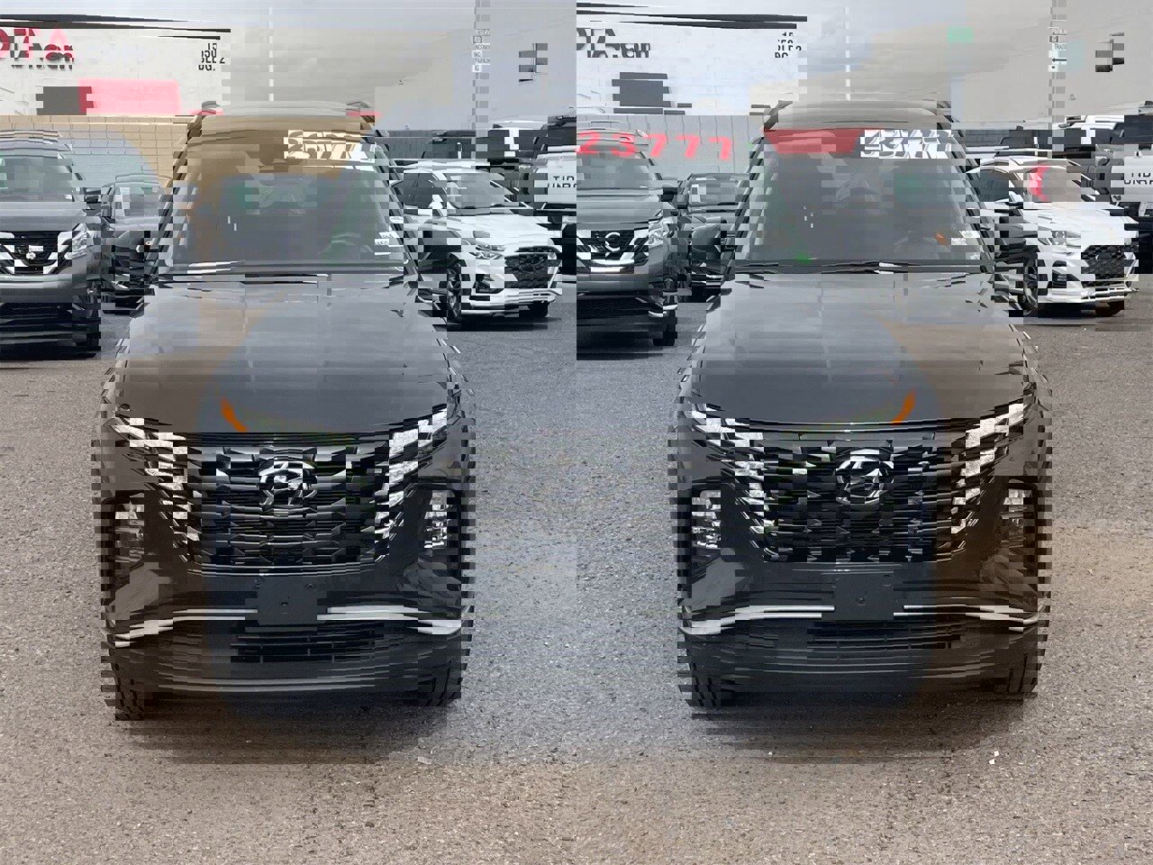 Certified 2024 Hyundai Tucson SEL image 2