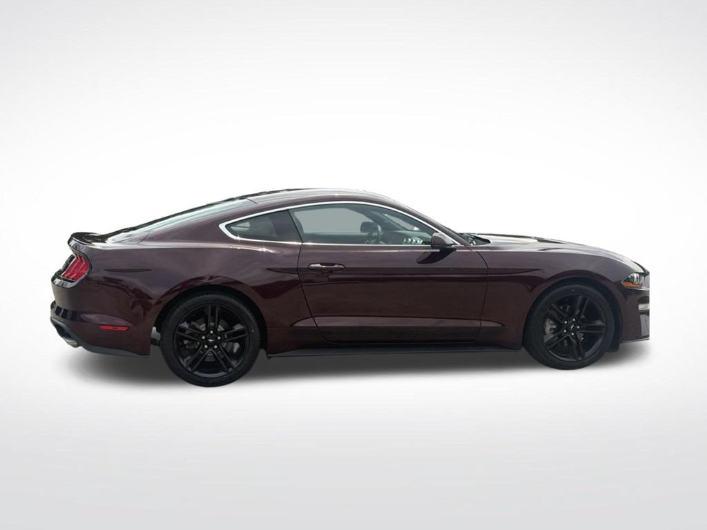Used 2018 Ford Mustang Premium w/ Equipment Group 201A RWD image 8