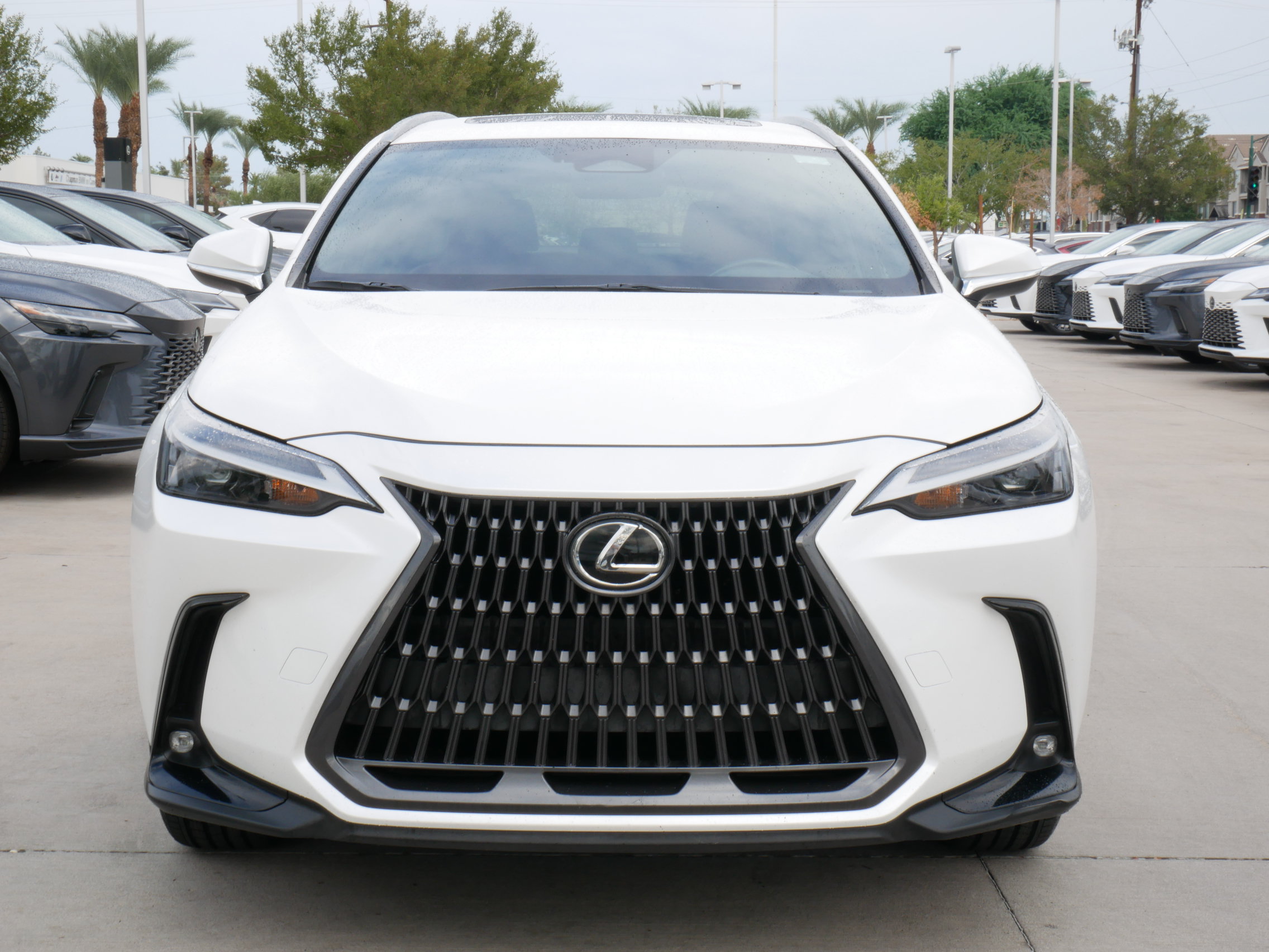 Certified 2022 Lexus NX 350 AWD w/ Cold Area Package image 19