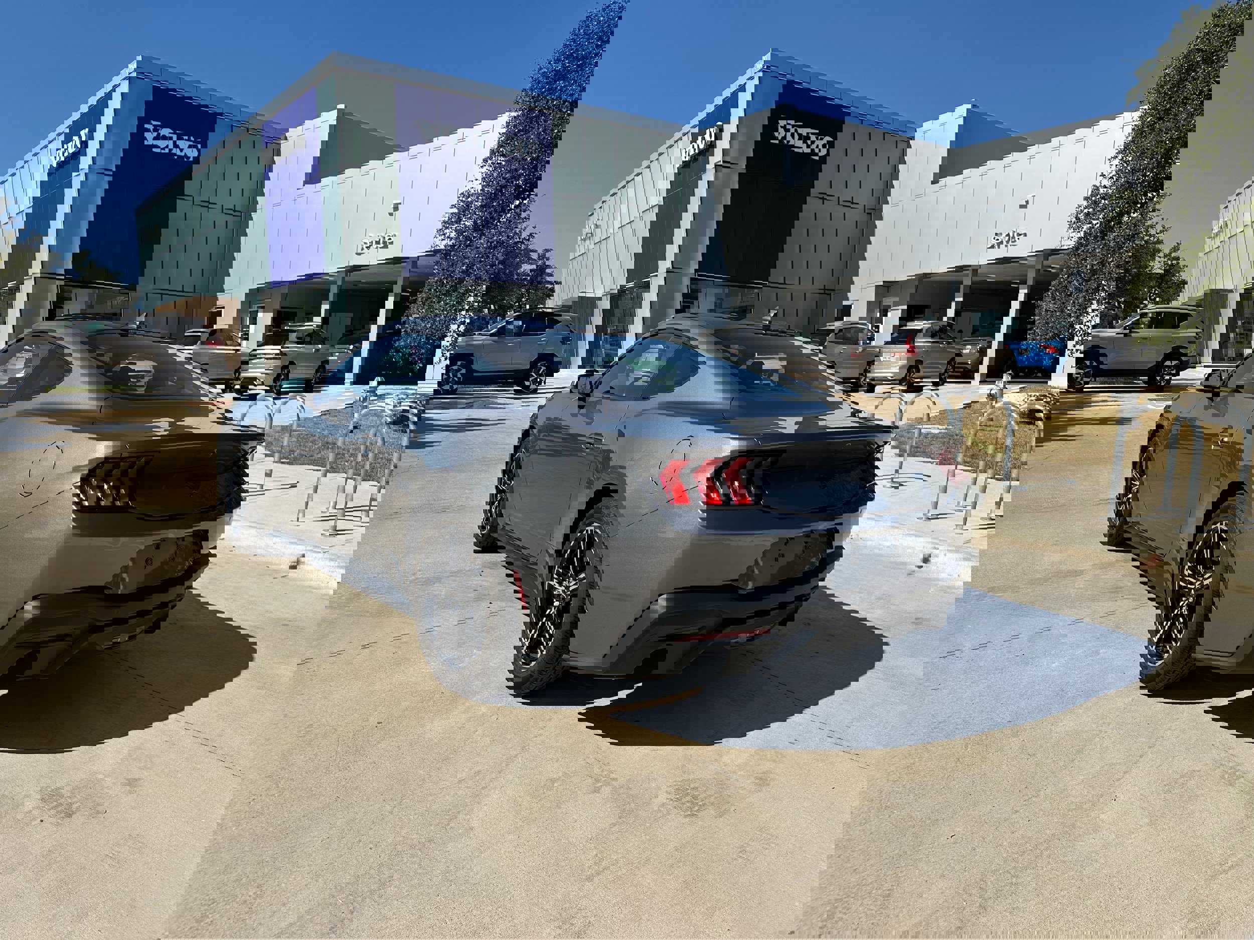 Used 2024 Ford Mustang EcoBoost image 4