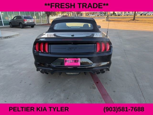 Used 2021 Ford Mustang GT Premium w/ Equipment Group 401A image 11
