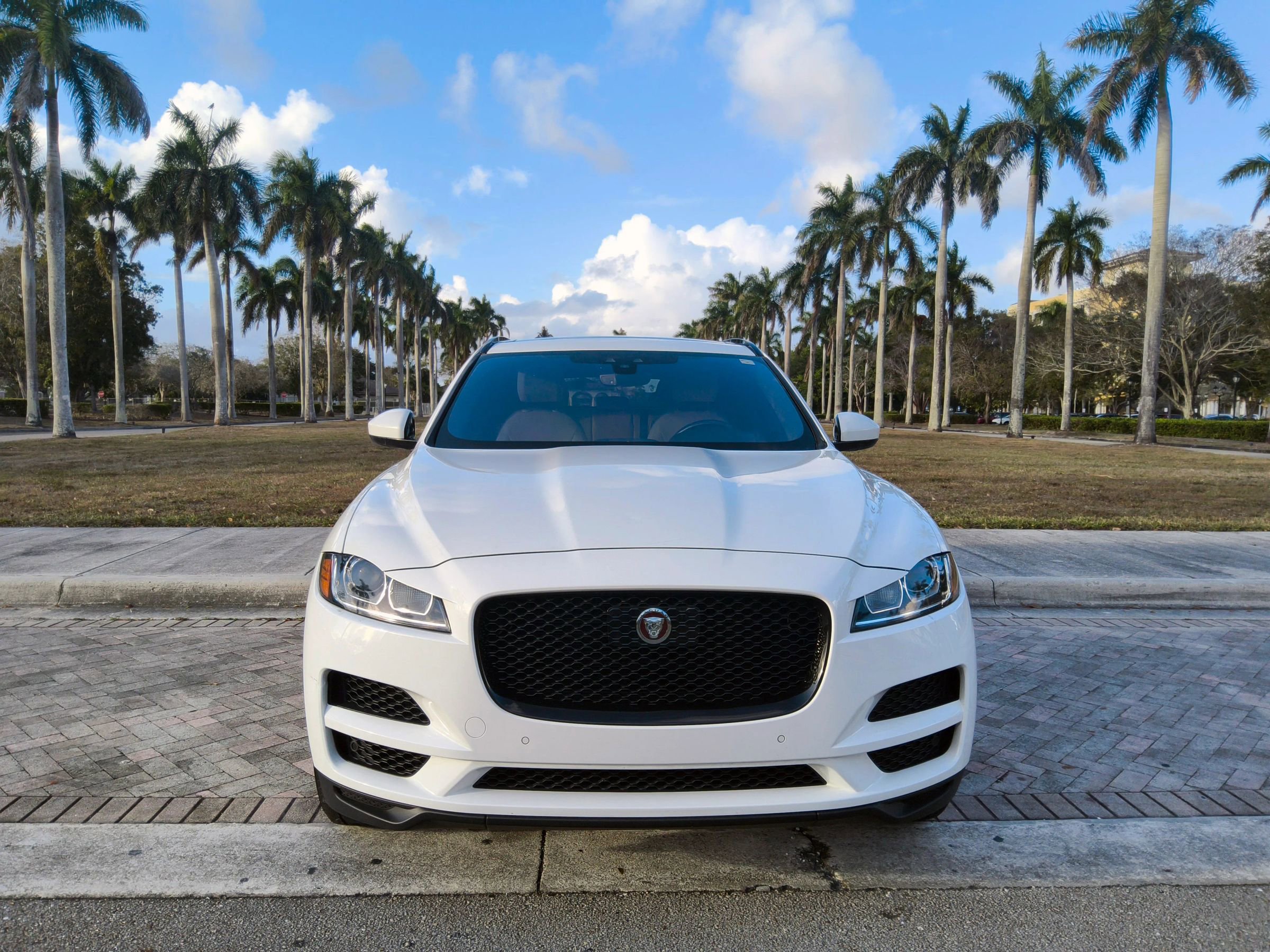 Used 2019 Jaguar F-PACE Premium image 3