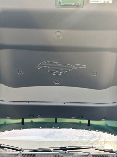 New 2025 Ford Mustang Mach-E GT w/ Bronze Appearance Package image 17