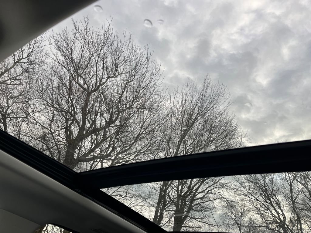 New 2025 Ford Expedition Max Active image 17