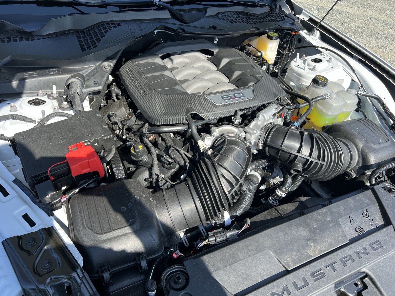 New 2026 Ford Mustang GT RWD image 25