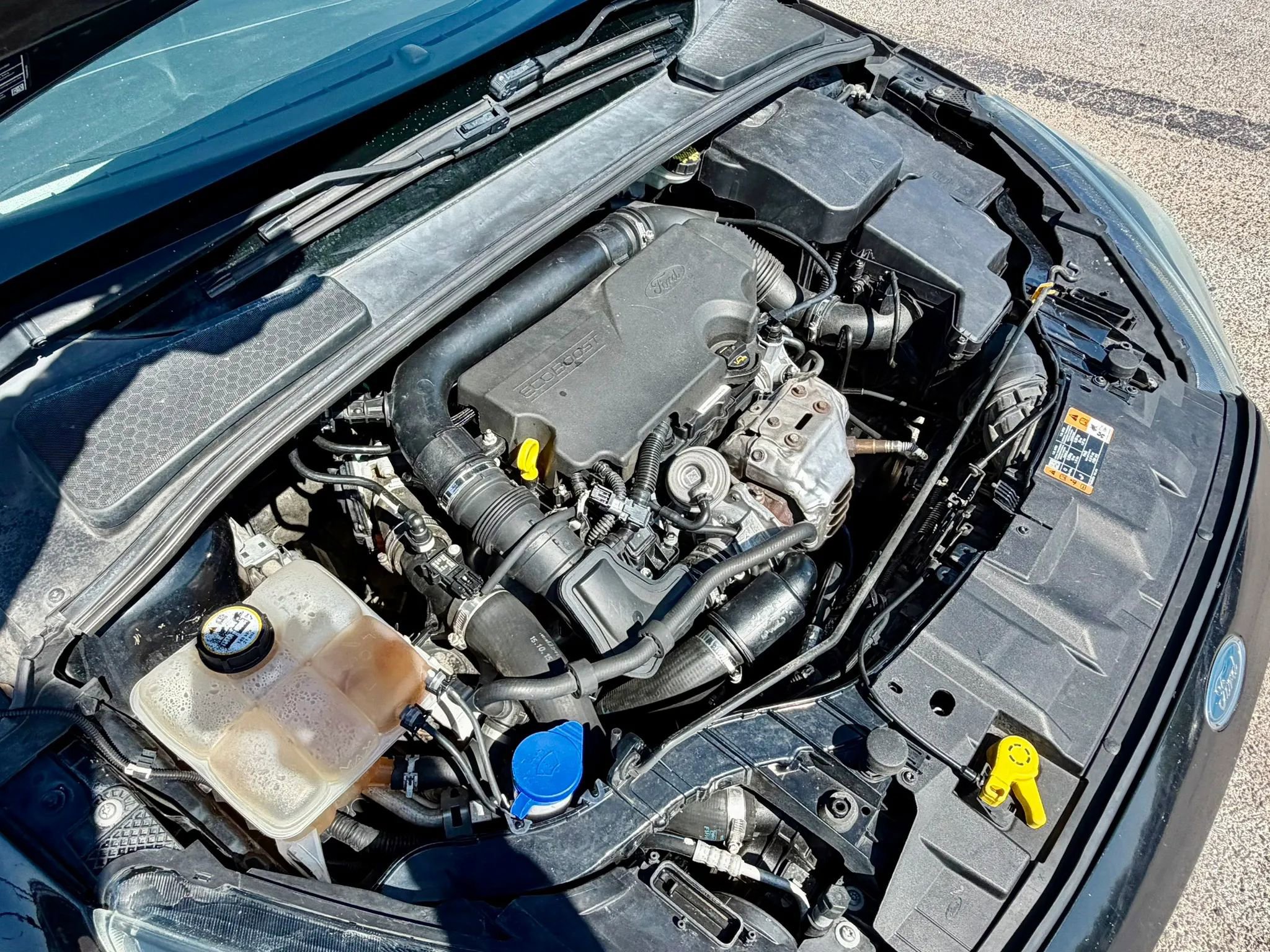 Used 2016 Ford Focus SE image 20