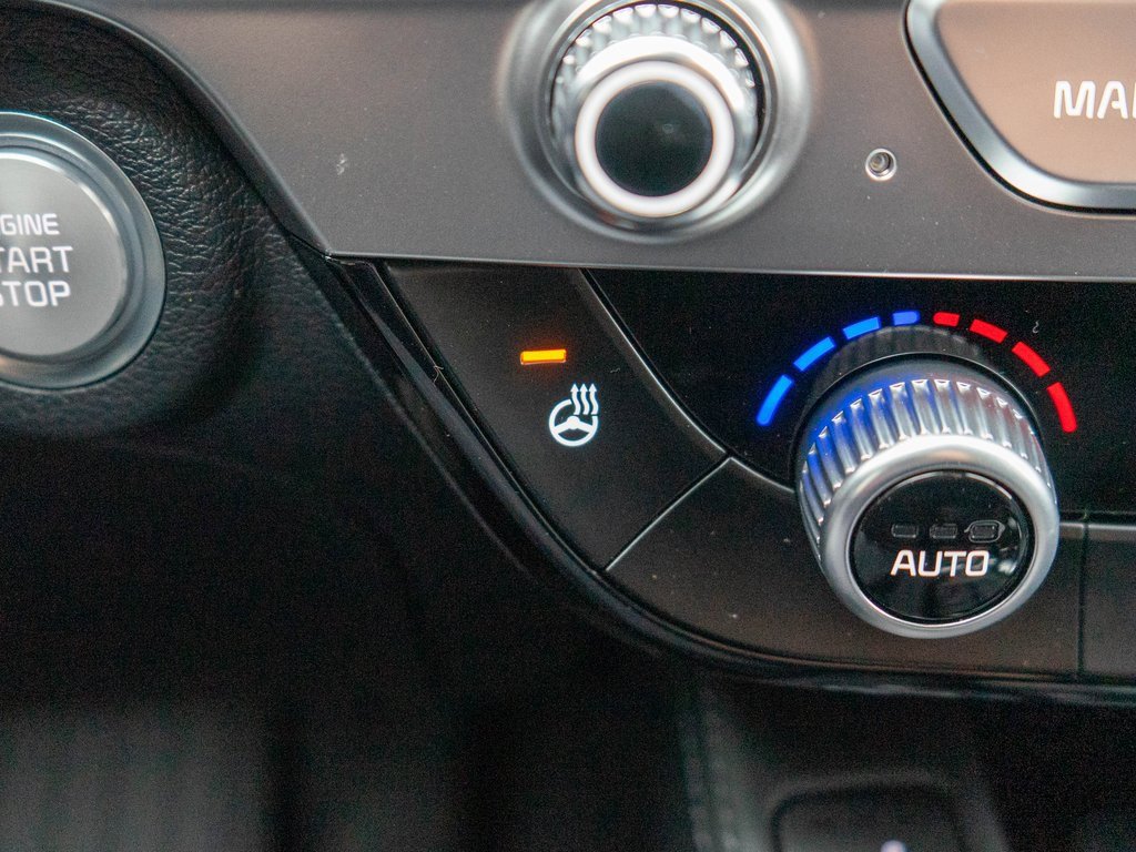 New 2025 Kia Telluride EX image 28