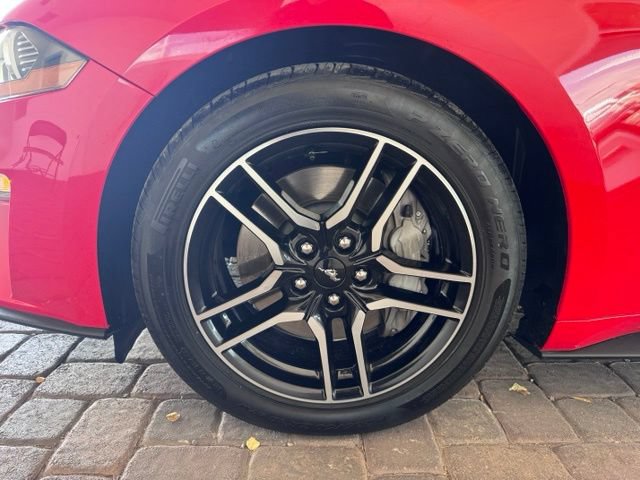 Certified 2019 Ford Mustang GT Premium w/ Equipment Group 401A RWD image 22