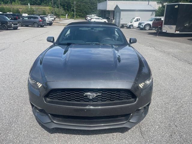 Used 2015 Ford Mustang Premium w/ Equipment Group 201A RWD image 3