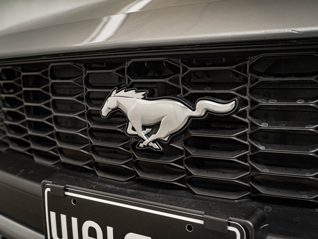 Used 2025 Ford Mustang Premium image 4
