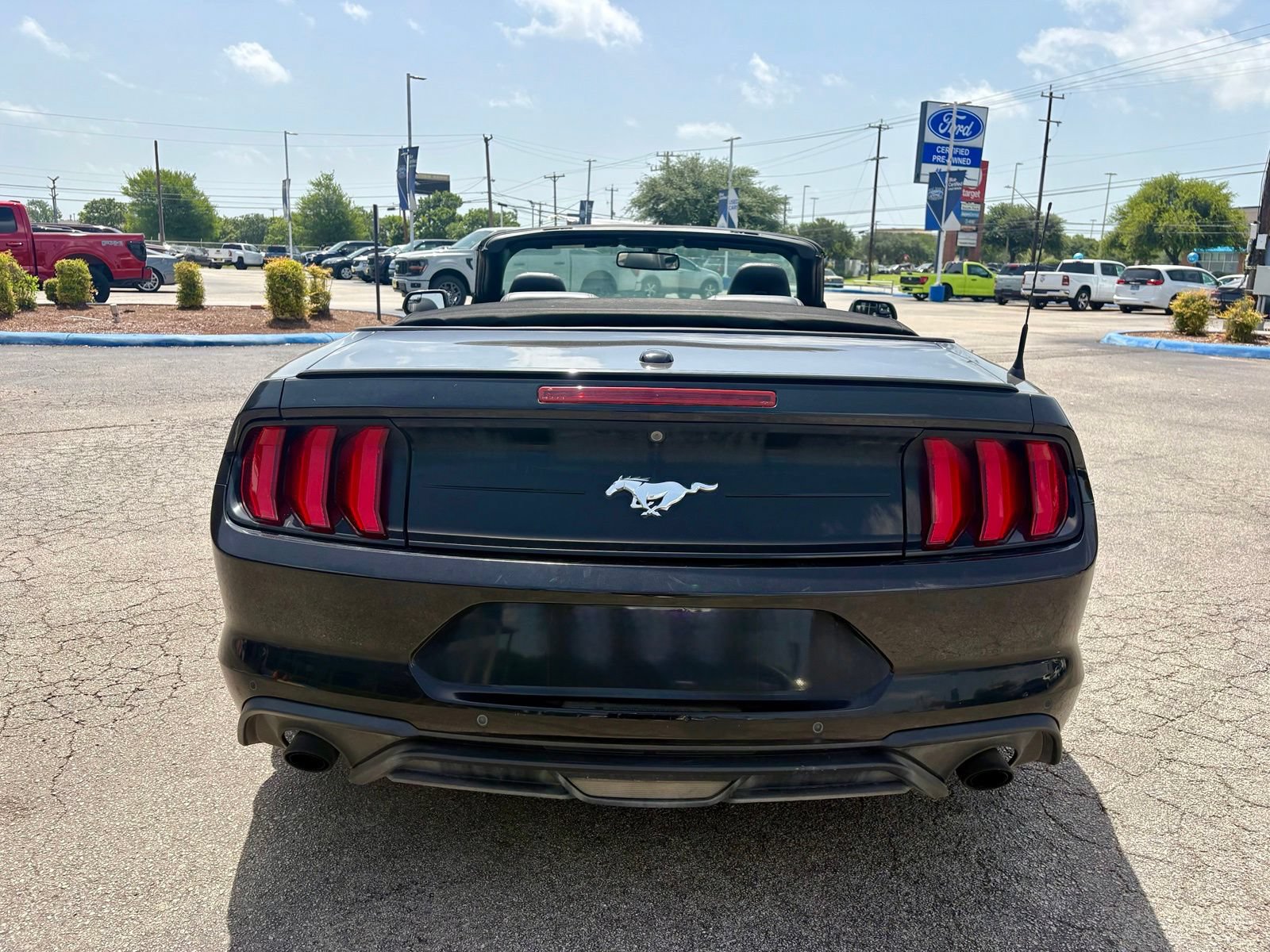 Used 2018 Ford Mustang Premium w/ Equipment Group 201A RWD image 6