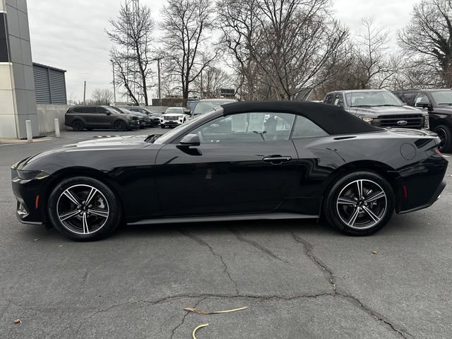 Certified 2025 Ford Mustang Premium image 8