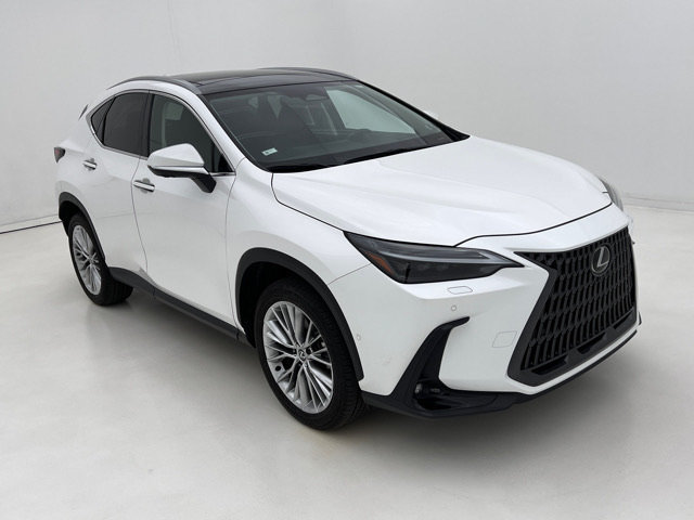 Certified 2025 Lexus NX 350 AWD w/ Luxury Package image 2