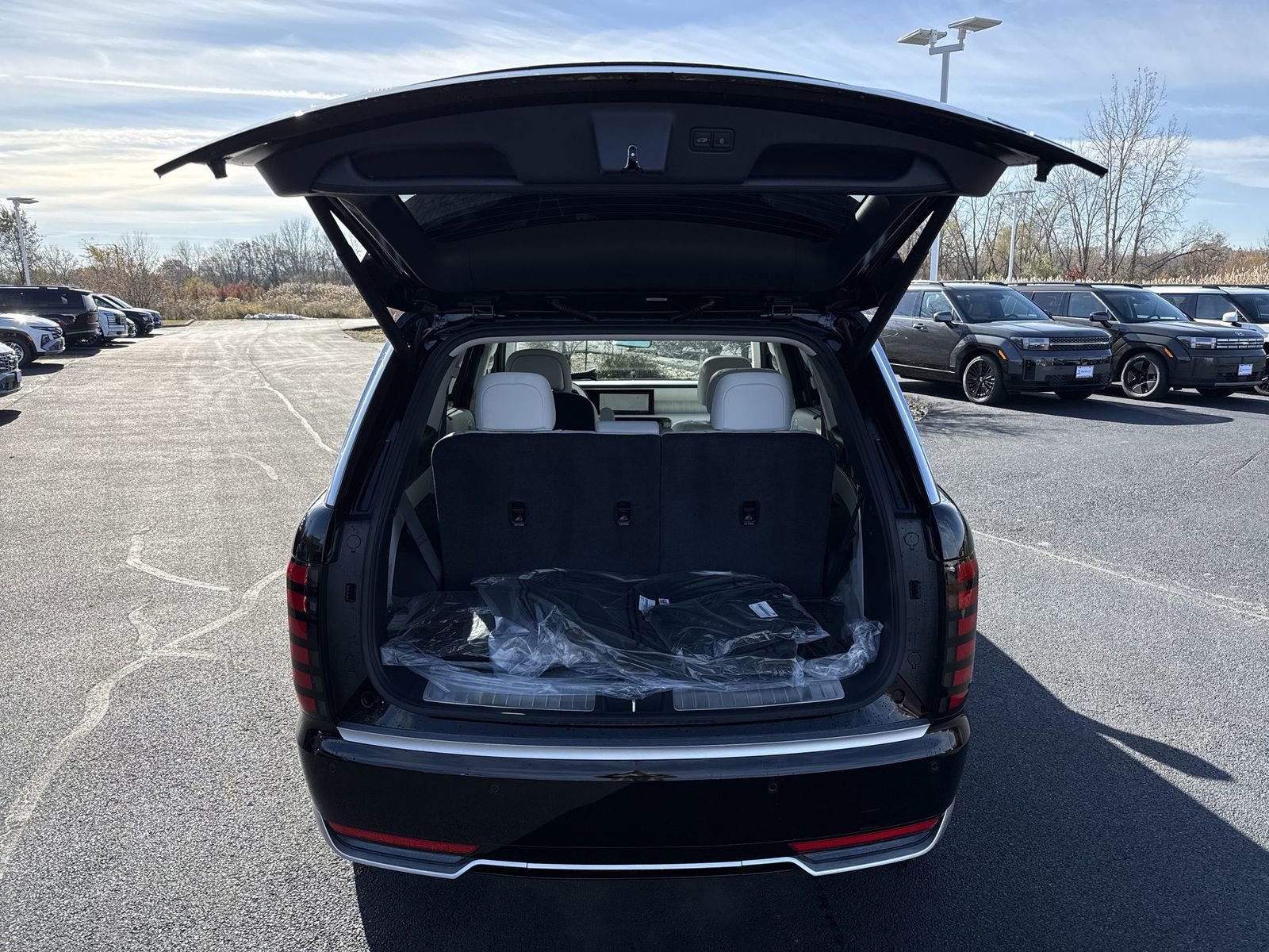 New 2026 Hyundai Palisade Calligraphy image 26