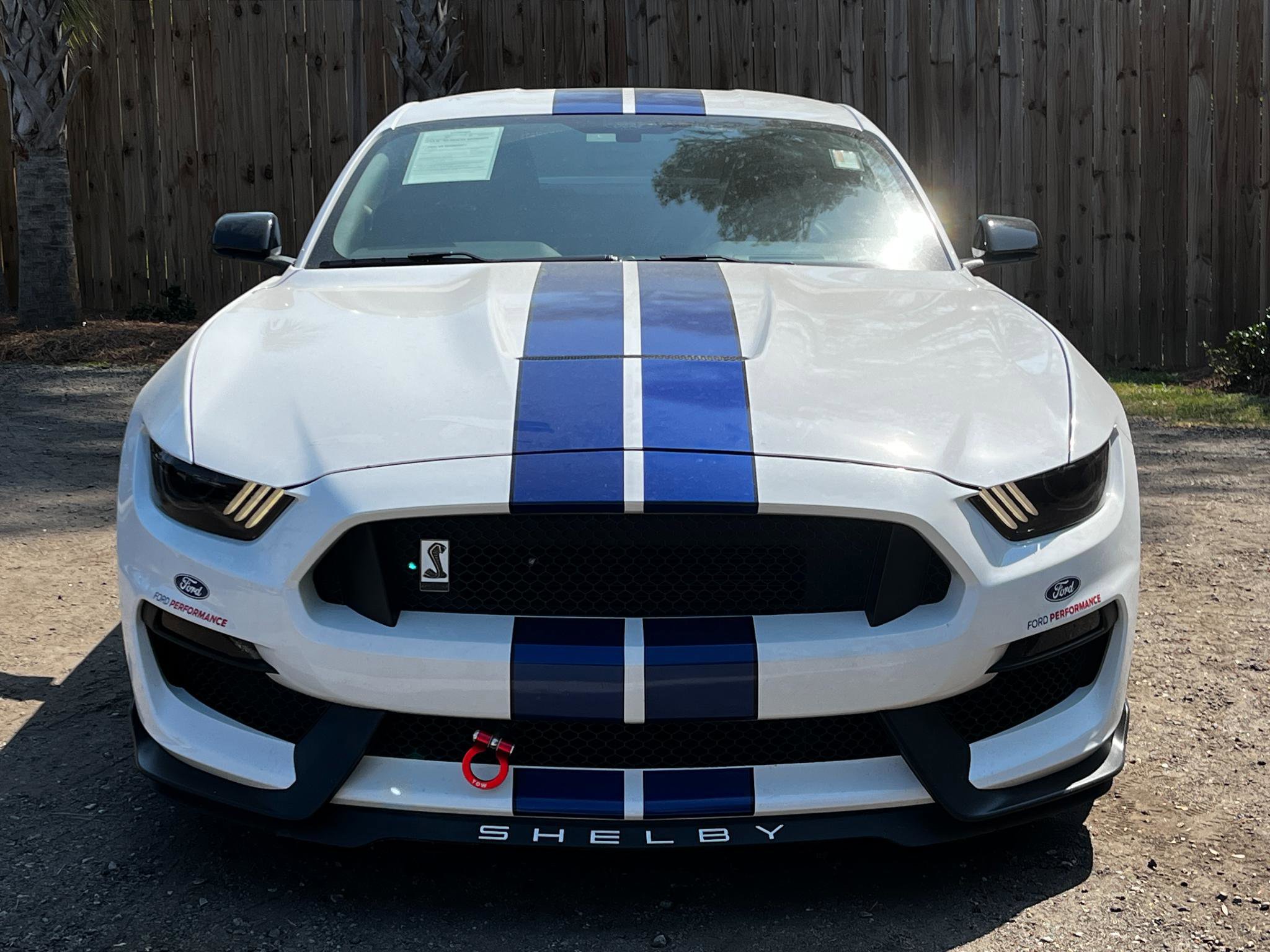 Used 2016 Ford Mustang Shelby GT350 w/ Technology Package image 21