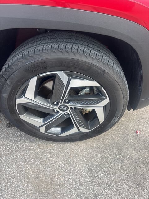 Used 2023 Hyundai Tucson Limited w/ Cargo Package AWD/4WD image 12